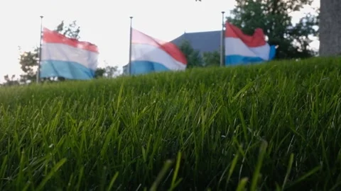View of the national Luxembourg flags flutter in the wind Video stock 170207702