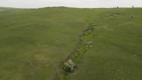 View of natural terrain erosion and ravine formation in green grassland Stock Footage 337456465