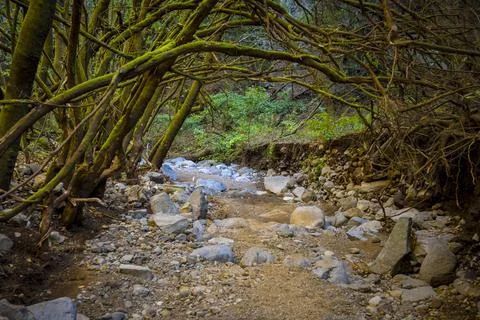 View on nature and landscape during hike through La Zarza Archaeological Pa.. Stock Photos