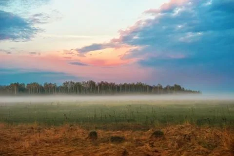 View of nature in the fog at sunset. Dramatic clouds in the background of the Stock Photos