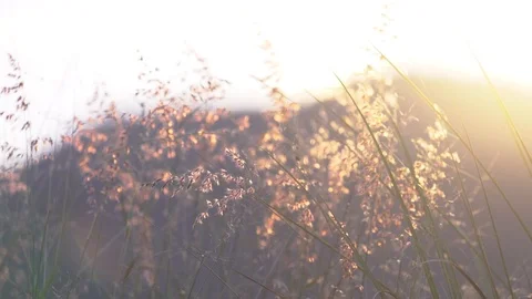 View of nature Stock Footage 120982317