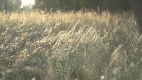 View of nature Stock Footage 120982348