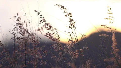 View of nature Stock Footage 120982352