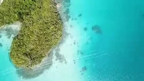 View of nature Stock-Footage 229769640