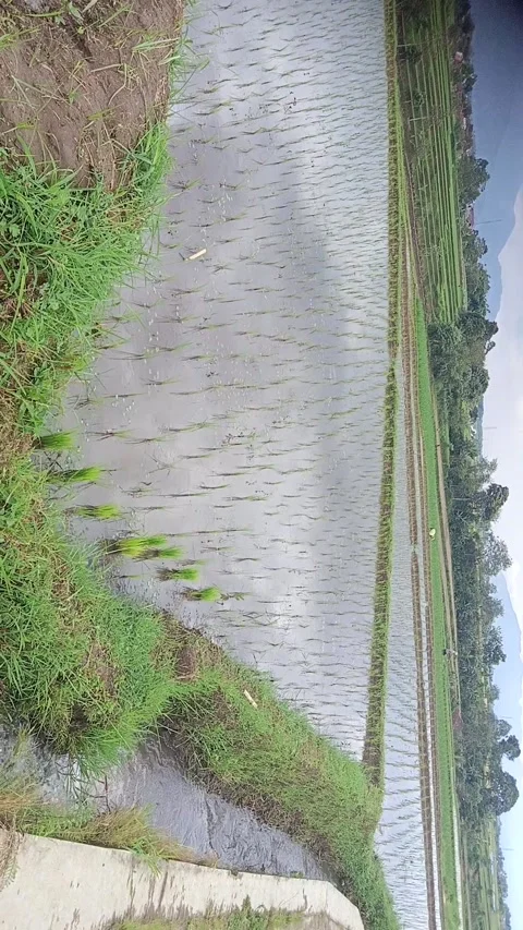 View nature Stockbeeldmateriaal 233564228