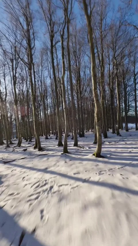 View of nature Stock Footage 270443122