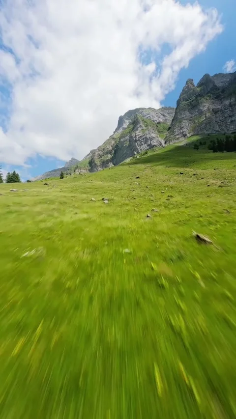 View of nature Stock Footage 270447596