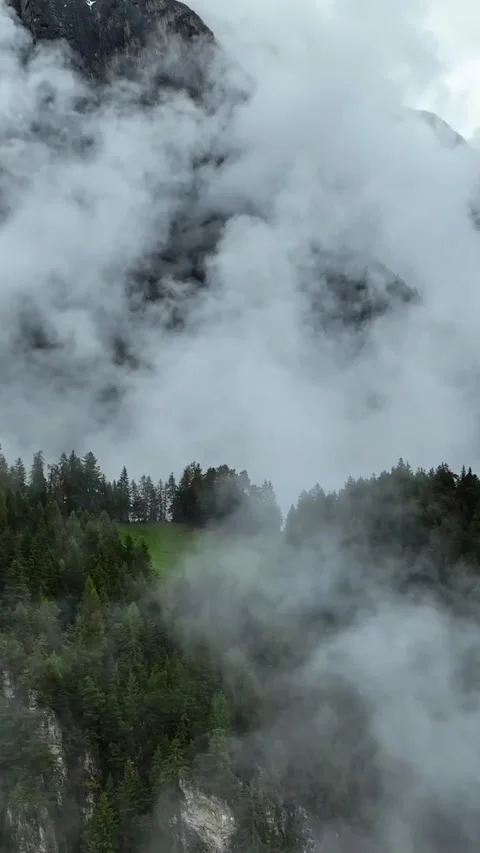 View of nature Stock Footage 270482531