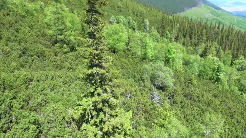 View of the nature of the High Tatras from the cable car Stock Footage 203719286