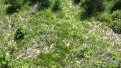 View of the nature of the High Tatras from the cable car Stock Footage 203723521
