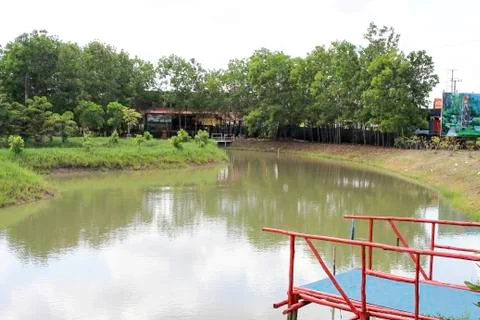 View of nature Stock Photos