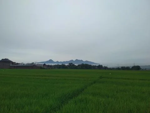 View nature Stockfoto's