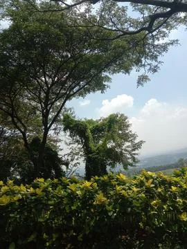A view of nature Stock Photos