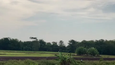 View nature sun set Video stock 219064640