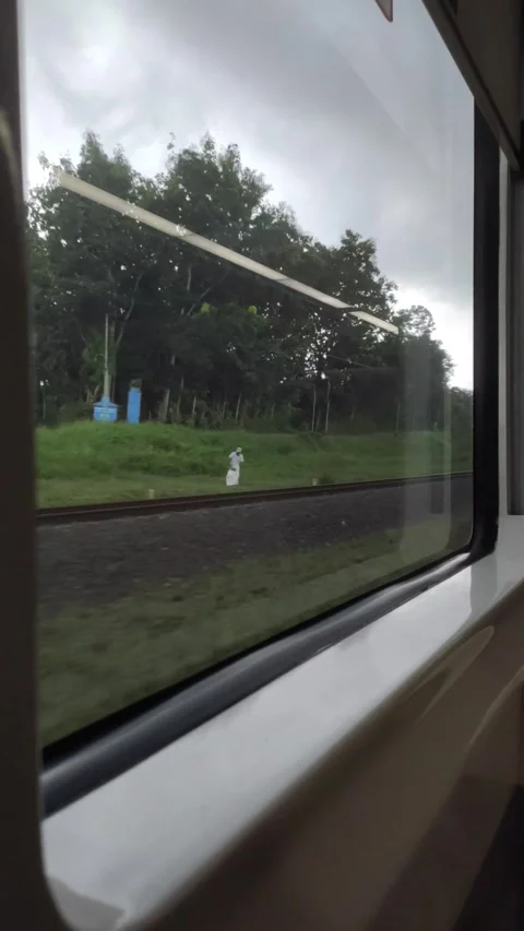 A View Nature from A Train Window Stock Footage 310068609