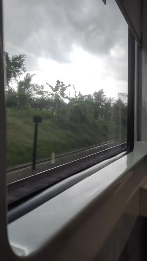 A View Nature from A Train Window Stock Footage 310068615