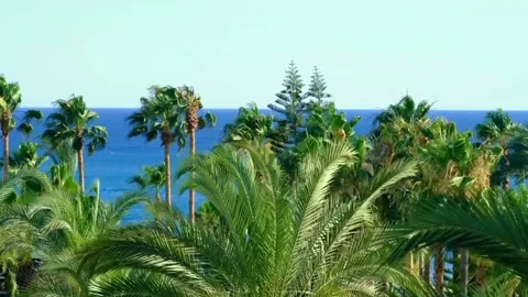 The view near the beach Stock Footage 233511870