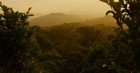 View near El Cedro in Guatemalan rainforest jungle at sunset or sunrise Stock Photos
