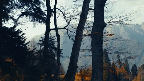 View of the neighboring mountain Stock Footage