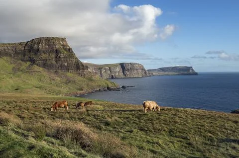 View from Neist Point Stock Photos