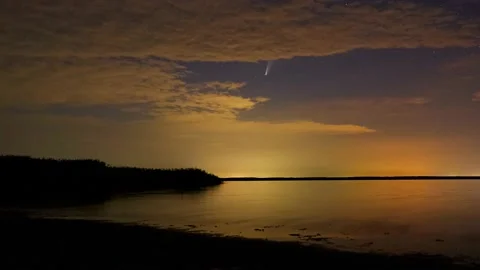 View of the  Neowise comet in the night sky Stock Footage 136029008