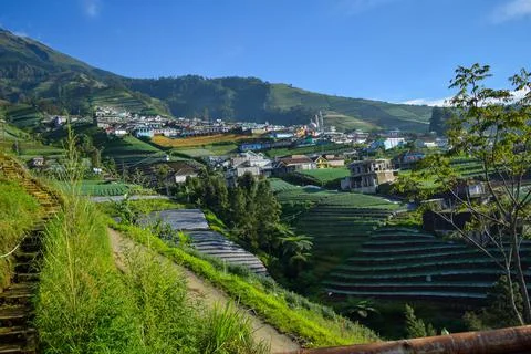 View of the Nepal van java is a Rural tour on the slopes of mount sumbing Stock-Fotos