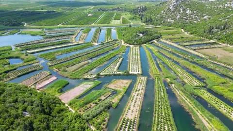 View of the Neretva Valley Video stock 259194238