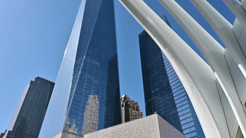 View of the New York Skyline Stock Footage 310656982
