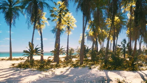 View of nice tropical beach with palms around Vídeo Stock 231818341