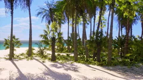View of nice tropical beach with palms around Stock Footage 235164096
