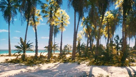 View of nice tropical beach with palms around Stockillustratie