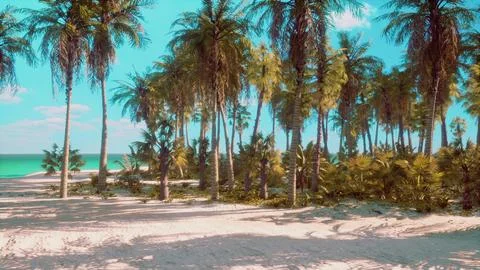 View of nice tropical beach with palms around 库存插图