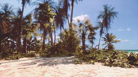 View of nice tropical beach with palms around Illustration