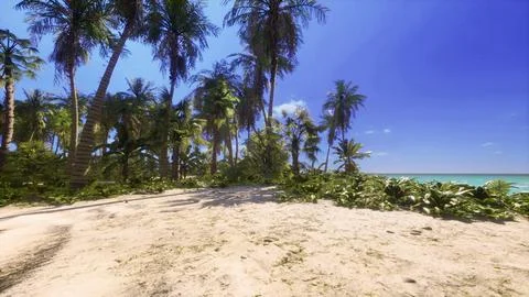 View of nice tropical beach with palms around Illustration