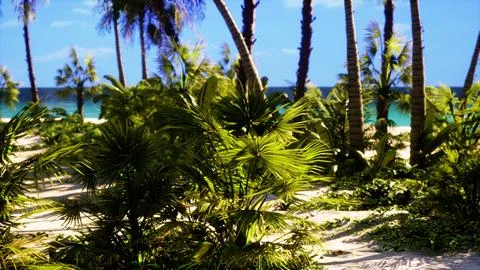 View of nice tropical beach with palms around Stockillustratie