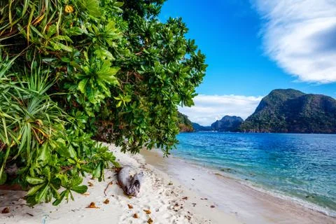 View of nice tropical beach with palms Foto stock