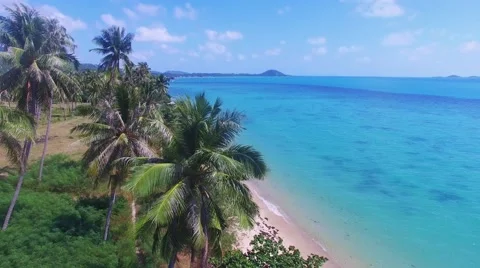 View of nice tropical beach with some palms around ,Samui,Thailand Stock Footage 60059168