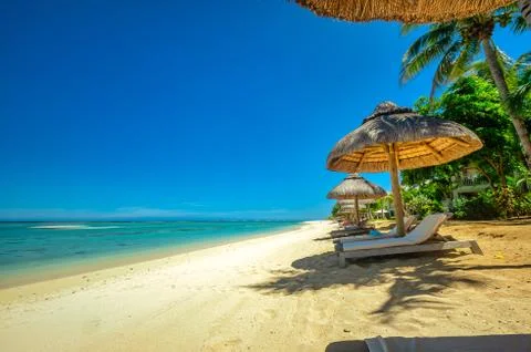 View of nice tropical empty sandy beach with some palm and a sun chair, time to Stock Photos