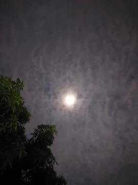View night moon 스톡 사진