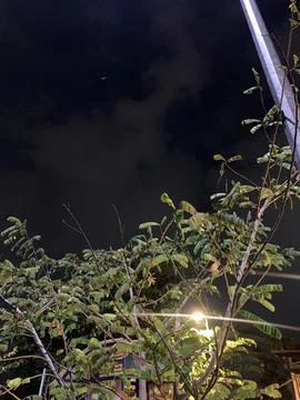 View of the night sky with trees Stock Photos