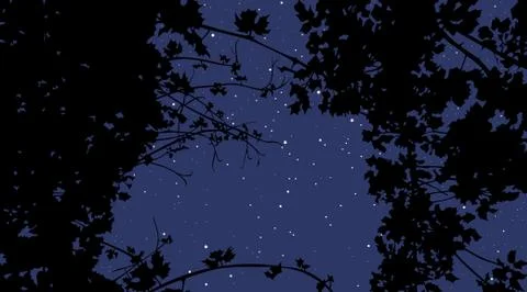 View of the night starry sky through plants Stock Illustration
