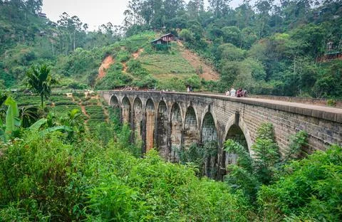 View to the nine arch stone bridge in green jungle and tea plantation in Ella Foto stock