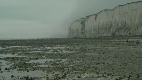 View of Normandy cliffs with seagulls Stock Footage 277712419