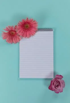 View of a notebook surrounded by pink flowers on blue background Stock Photos