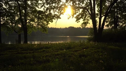 View of the oak grove on the lake at sunset, dolly shot Stock Footage 154040740