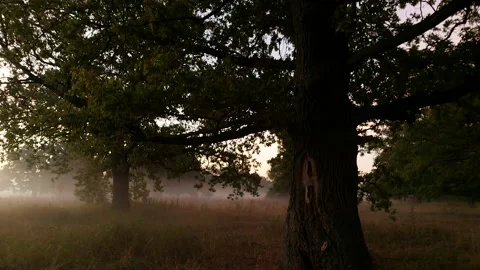 View of the Oak Grove Park Stock Footage 209692186