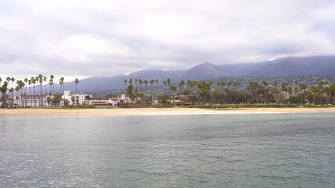 View of the ocean and palm trees in Santa Barbara, California Stock Footage 154459756