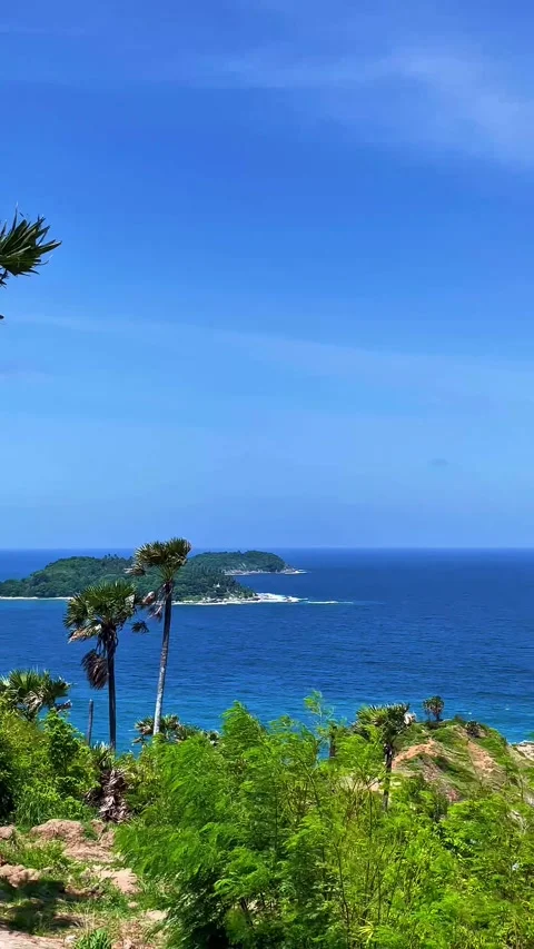 A view of the ocean and palm trees from a hill Vídeos de archivo 312423150