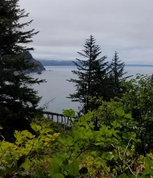 View of Ocean and trees Stock Photos