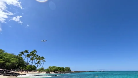 View of the Ocean and View of Palm Trees and Beach with an Airplane Flying in Stock Footage 270402466
